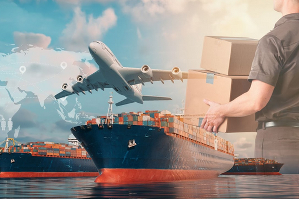 professional movers and packers - Just Box It