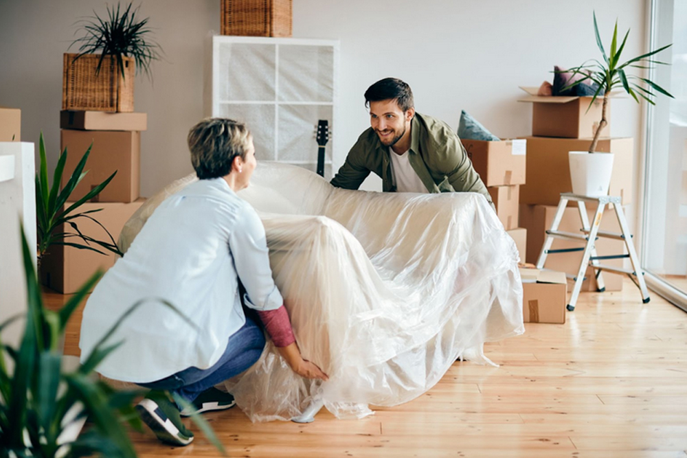 Pet relocation in Dubai - Just Box It