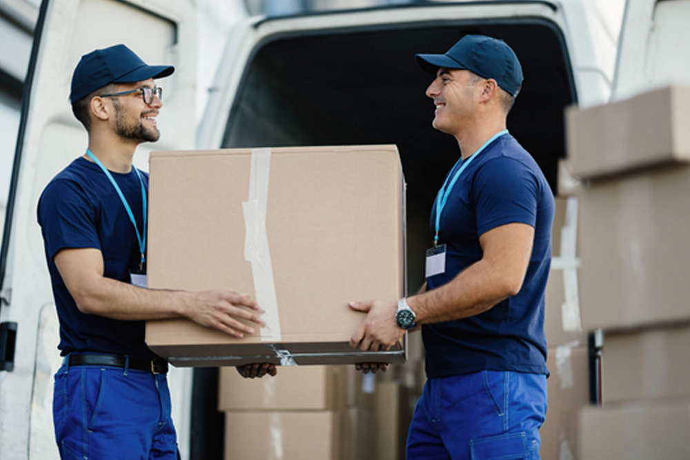 Professional movers and packers - Just Box It